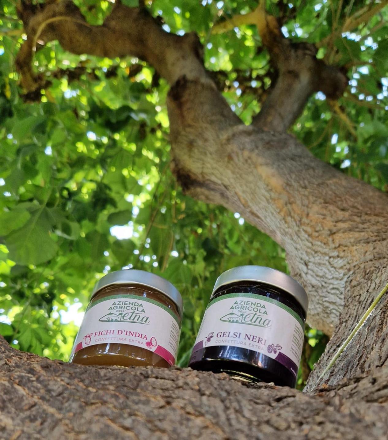 Agriturismo Dell'Etna 리포스토 외부 사진